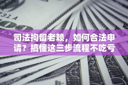北京司法拘留老赖，如何合法申请？搞懂这三步流程不吃亏！